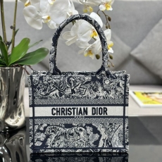 Christian Dior Shopping Bags